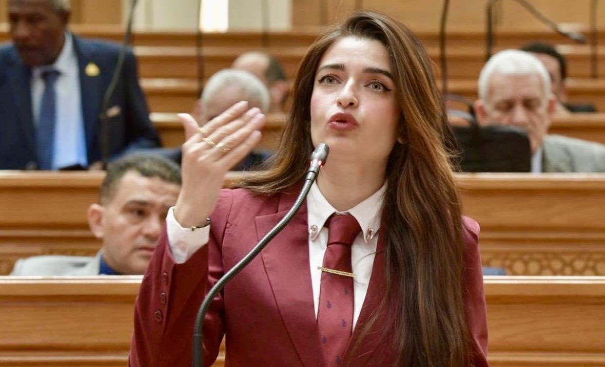 النائبة إيرين سعيد تتقدم بطلب إحاطة بشأن نقص خدمات الصرف الصحي في قرية عرب أبوعيد بطوخ